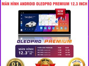 màn hình Android OledPro Premium 12.3 inch 2022