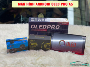 Địa điểm lắp màn hình Android OledPro A5 uy tín chất lượng tại TPHCM